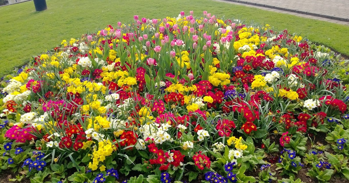 Something Beautiful Everyday Rose garden, Rhododendrons, Malvern